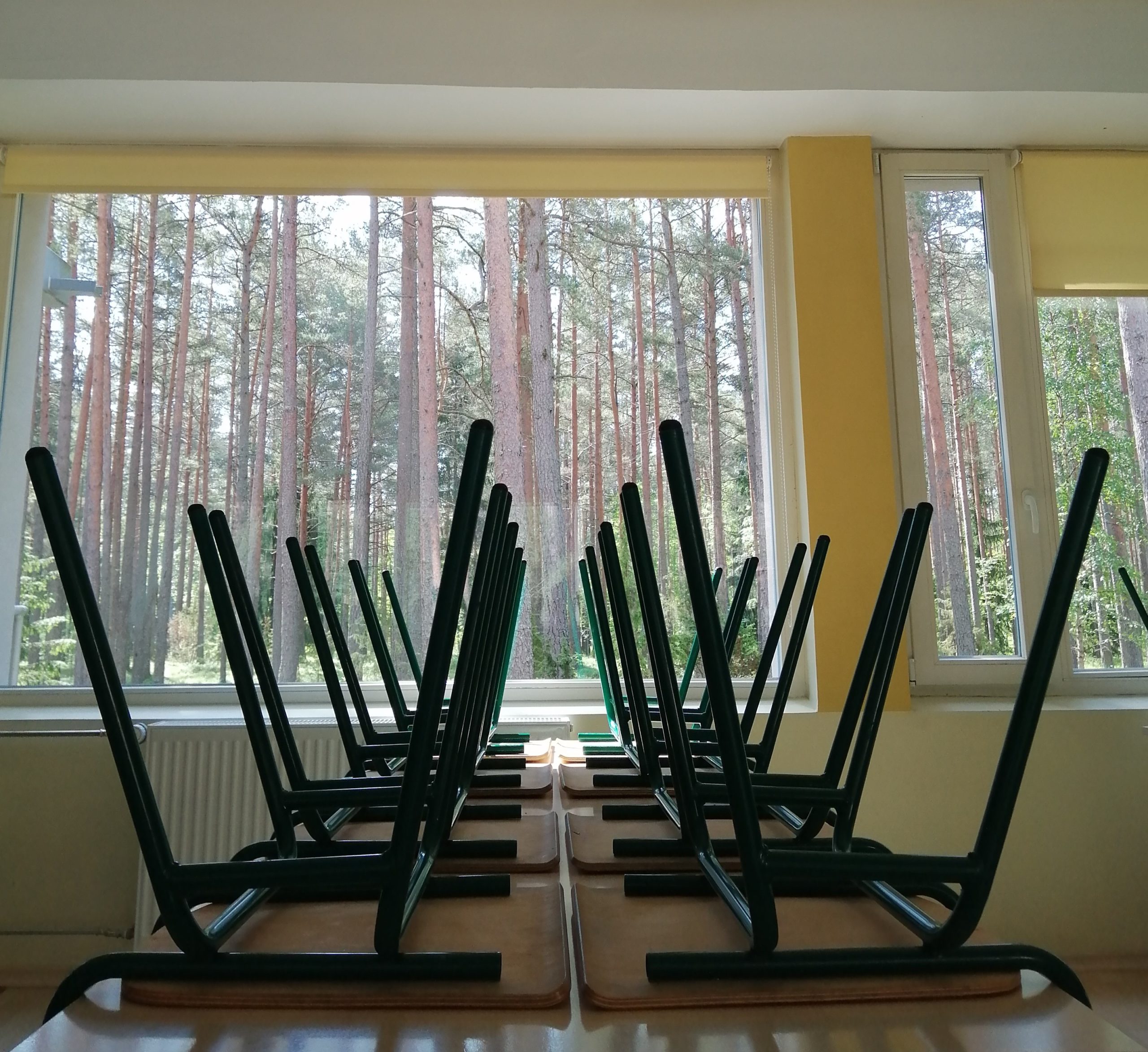 Galerii – Padise Põhikool – KASVAME KOOS